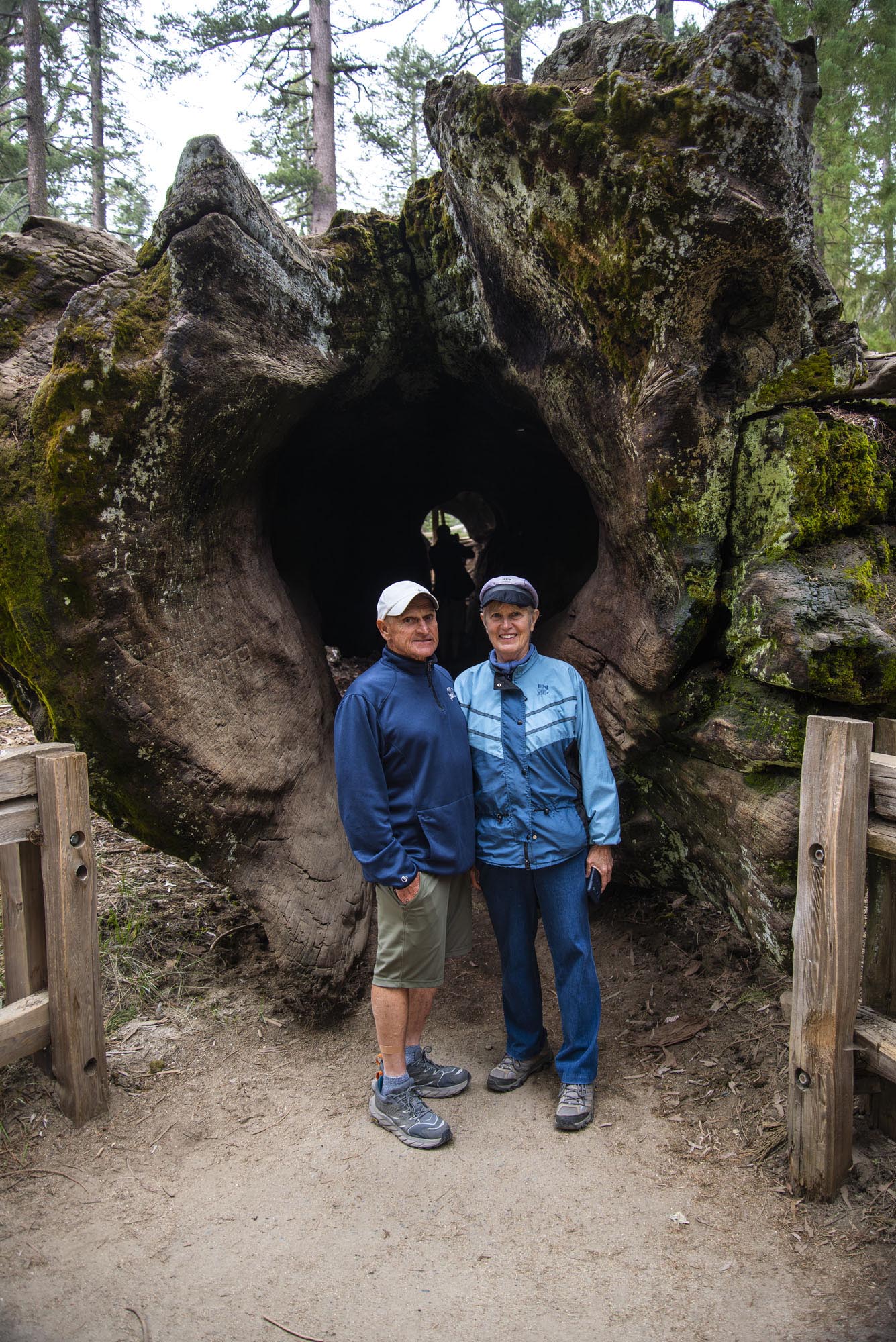 Kings Canyon Grants Grove