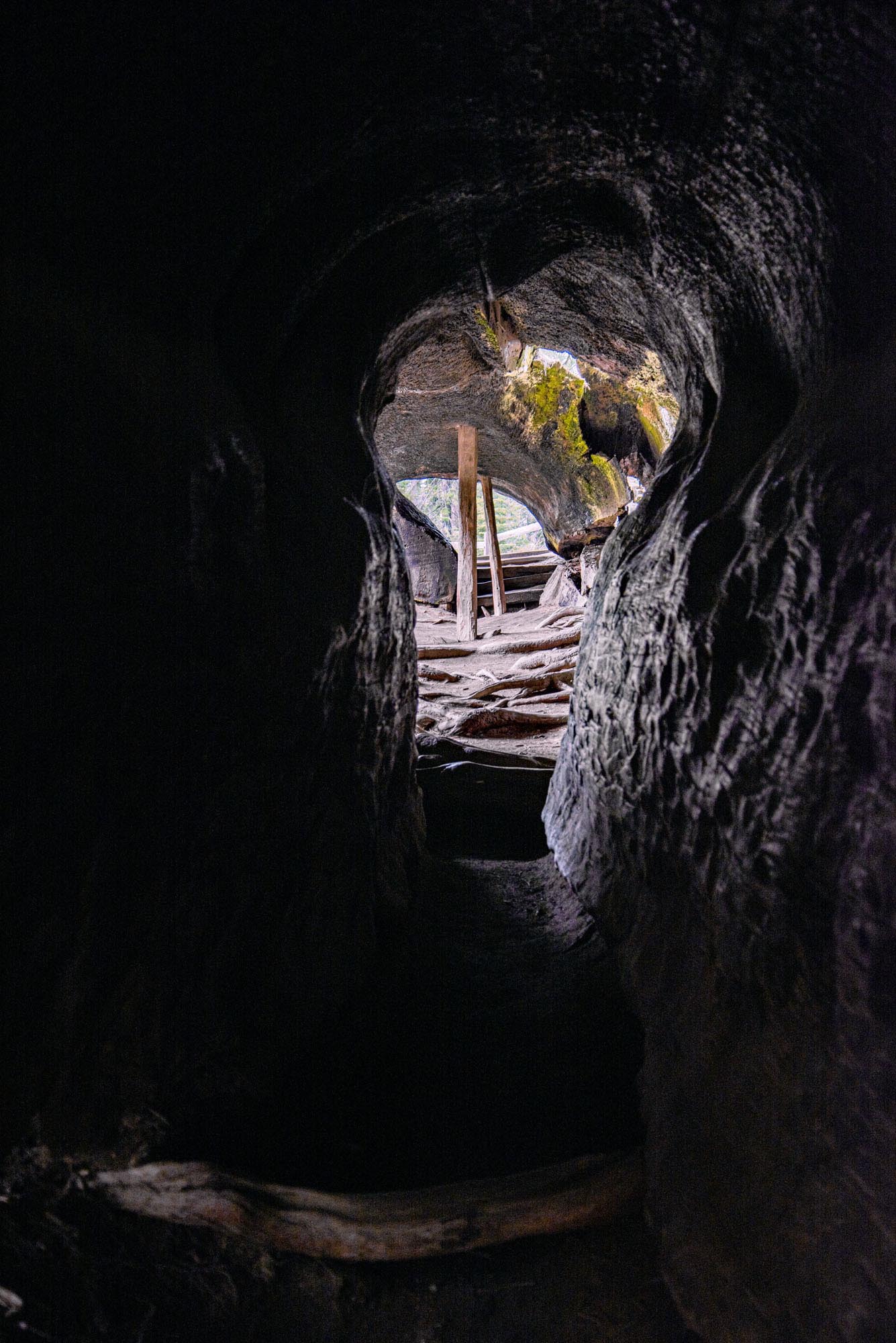 Kings Canyon Grants Grove