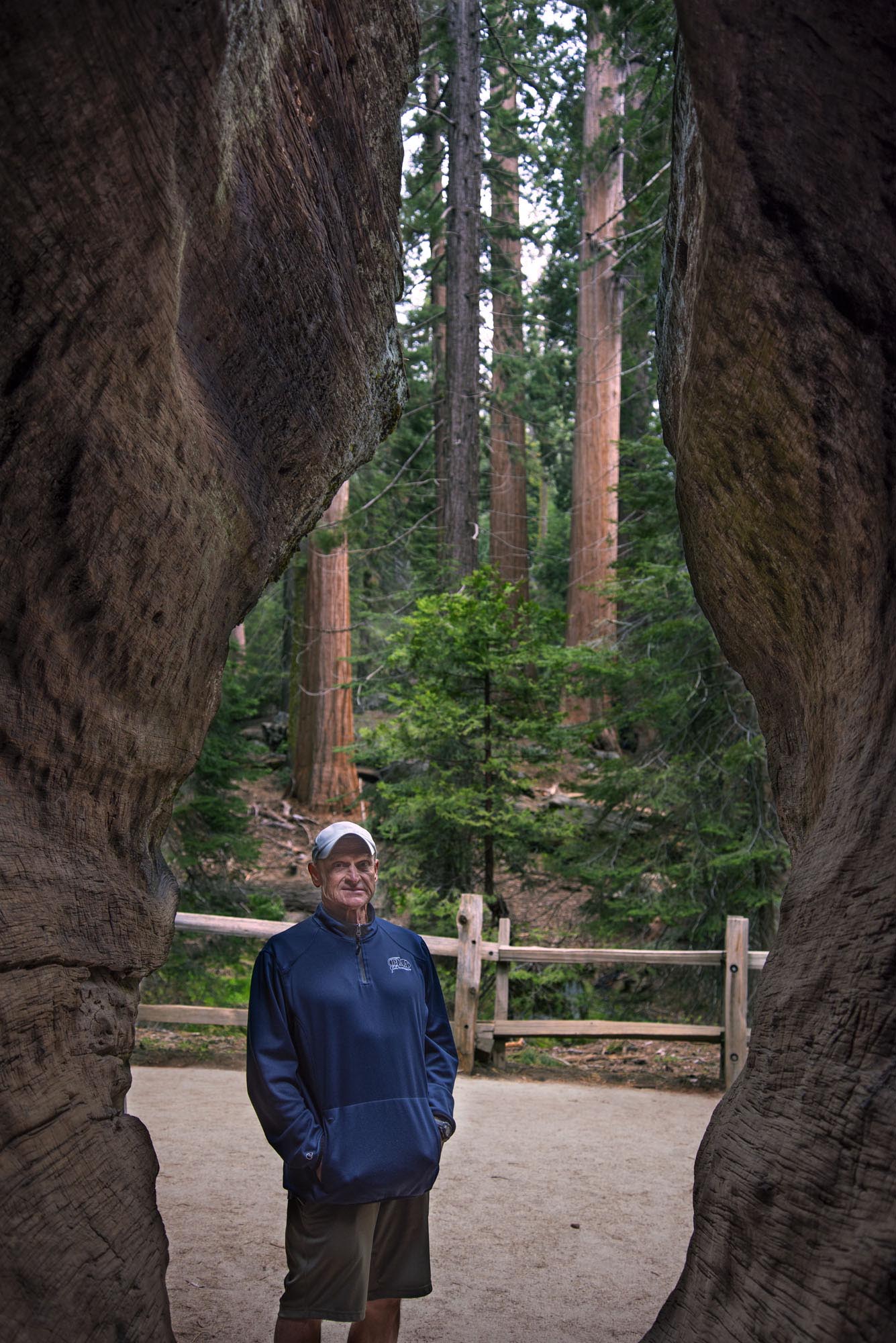 Kings Canyon Grants Grove