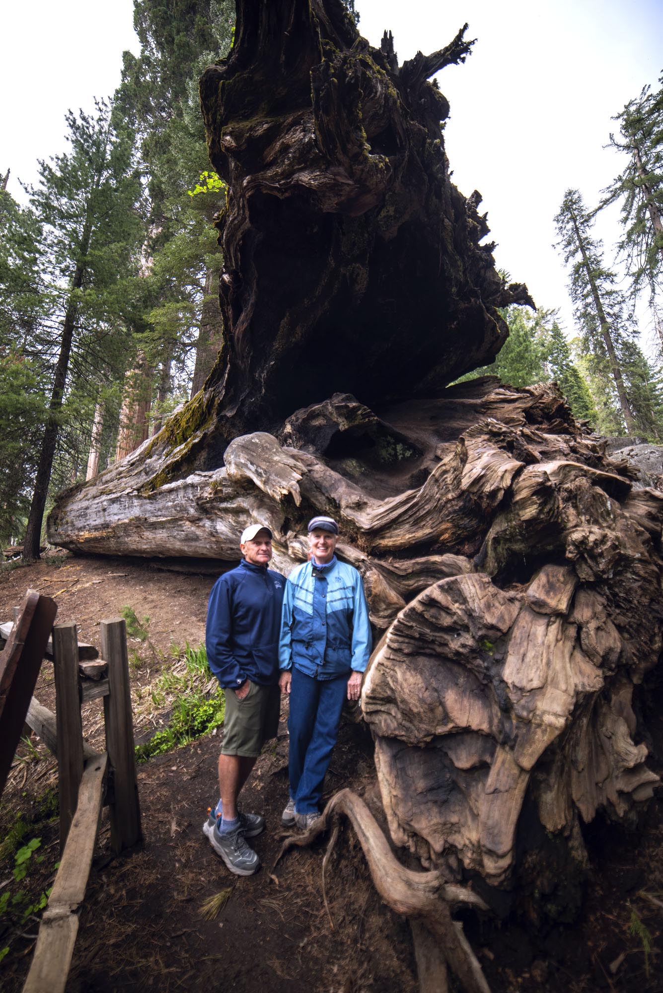Kings Canyon Grants Grove